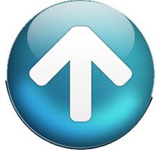 Retour en haut de la page
